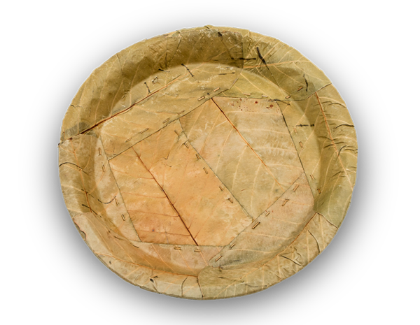 tapari-4-layer-2 tapari-4-layer-2